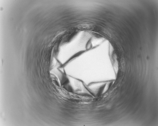 X0000054471297200508270119