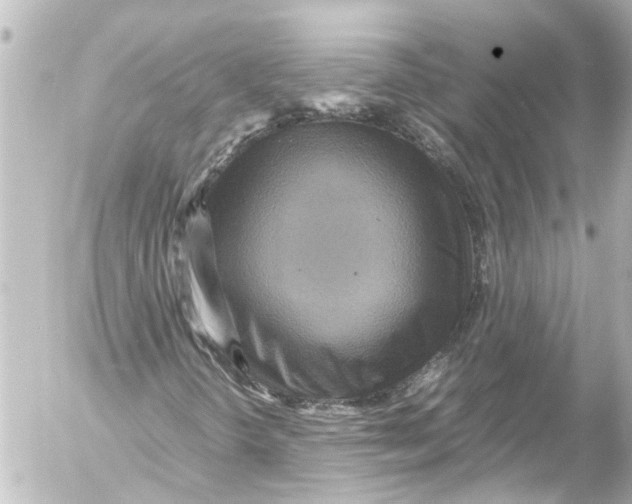 X0000054471298200508270119