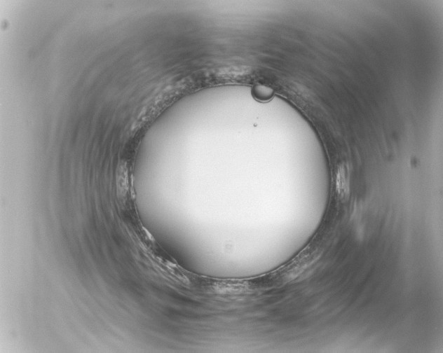 X0000054471299200508270119