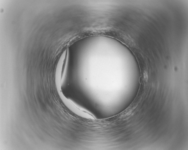 X0000054471300200508270119