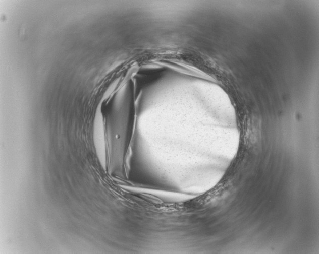 X0000054471301200508270119