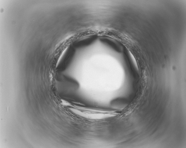 X0000054471302200508270119