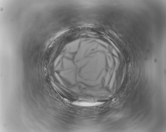 X0000054471303200508270119