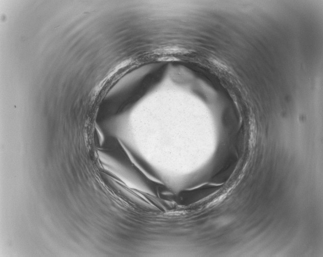 X0000054471305200508270119