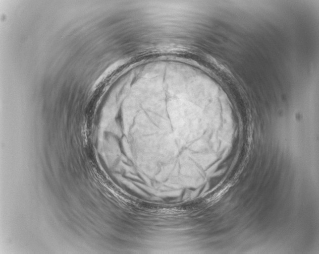 X0000054471306200508270119