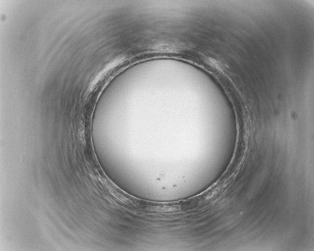 X0000054471307200508270119