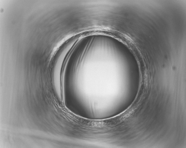 X0000054471310200508270119