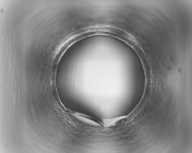 X0000054471312200508270119