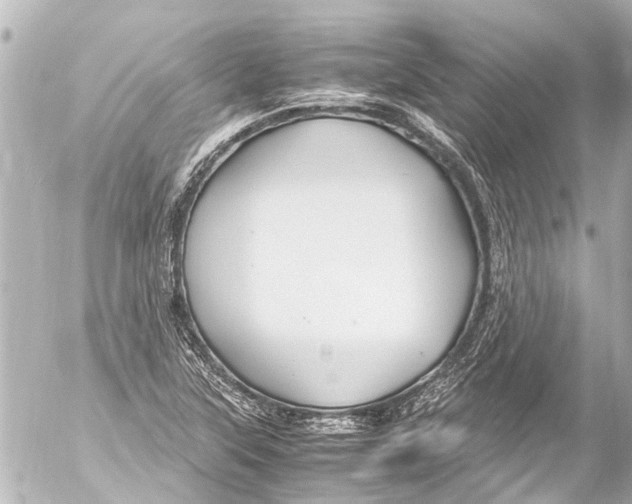 X0000054471315200508270119