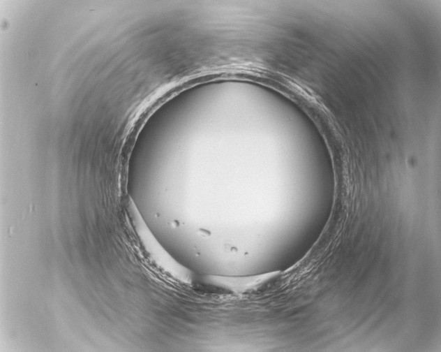 X0000054471316200508270119