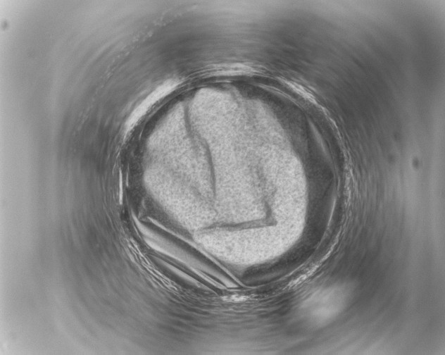 X0000054471317200508270119