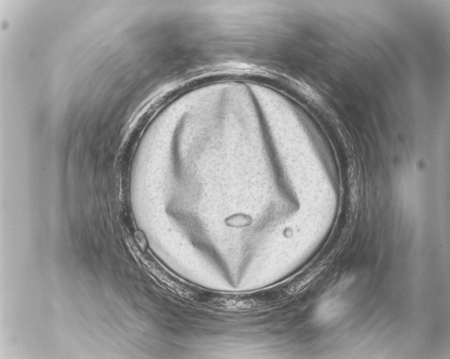 X0000054471318200508270119