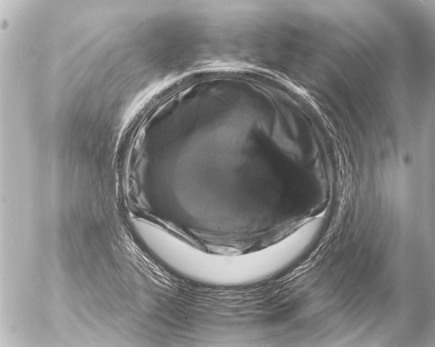 X0000054471319200508270119