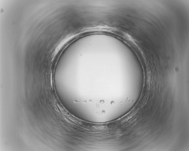 X0000054471320200508270119