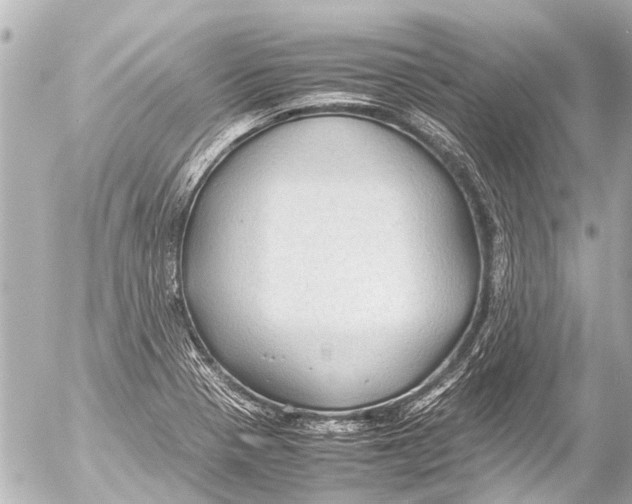 X0000054471321200508270119