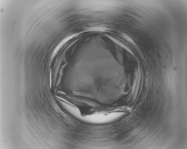 X0000054471323200508270119