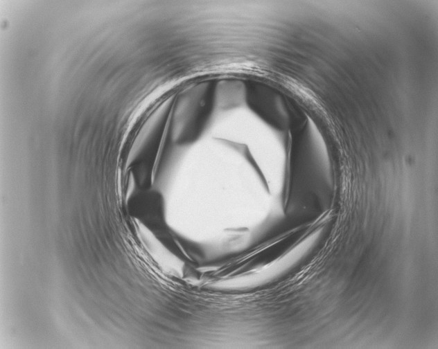 X0000054471324200508270119