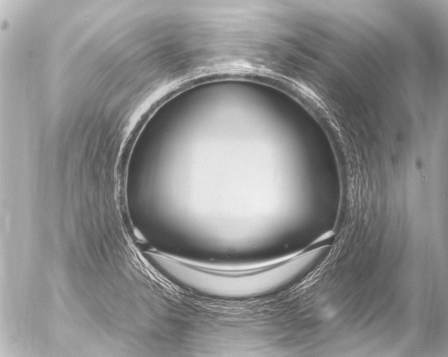 X0000054471326200508270119