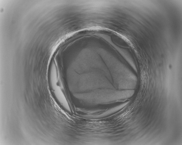 X0000054471327200508270119