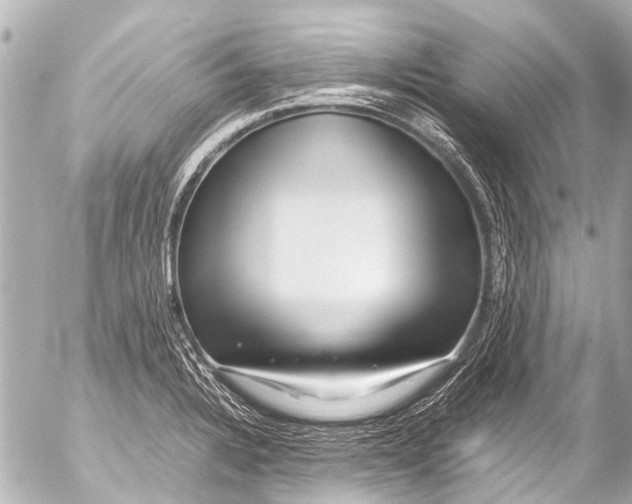 X0000054471328200508270120