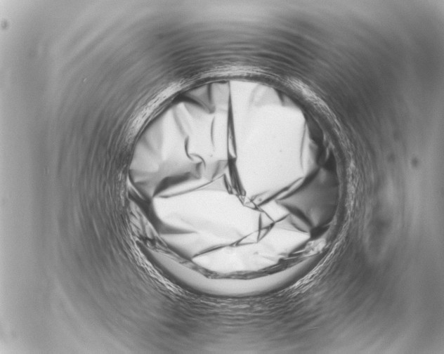 X0000054471329200508270120