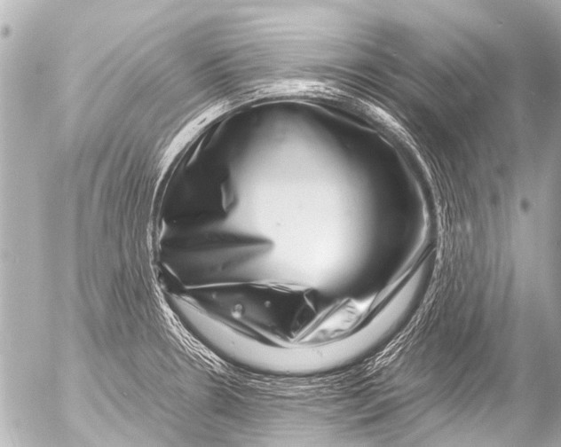 X0000054471330200508270120