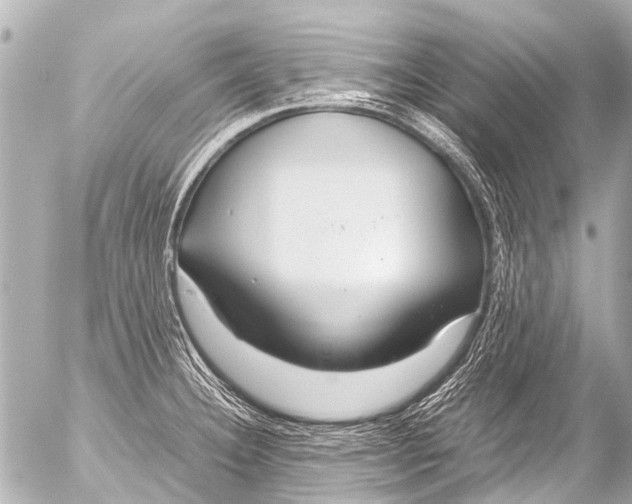 X0000054471332200508270120