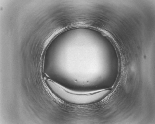 X0000054471333200508270120