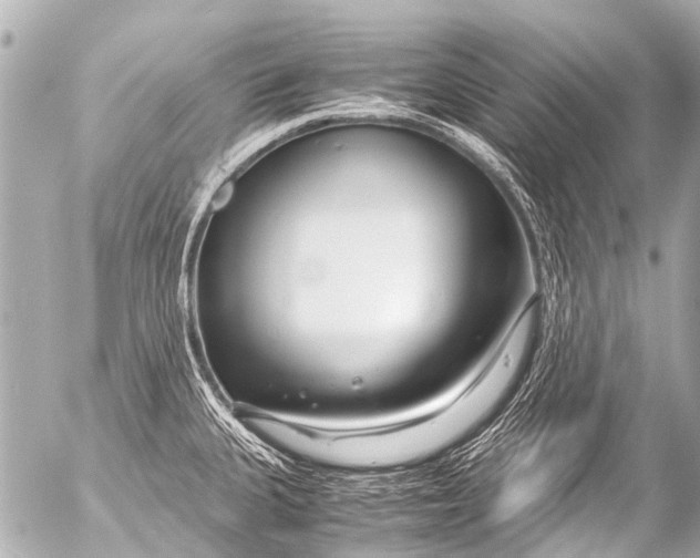 X0000054471335200508270120