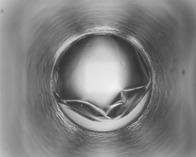 X0000054471336200508270120