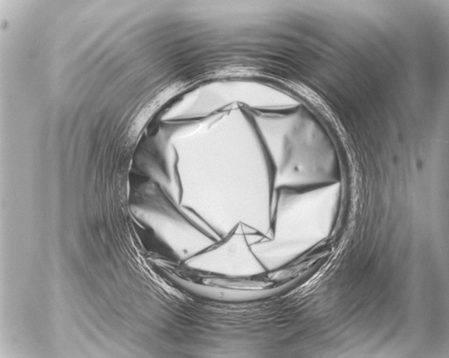 X0000054471337200508270120