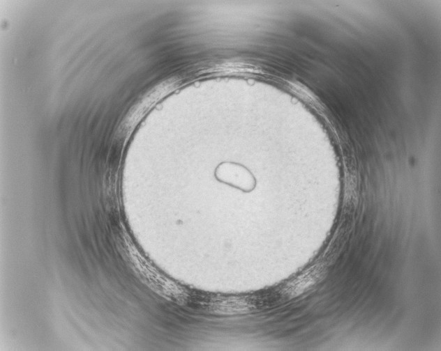 X0000054471338200508270120