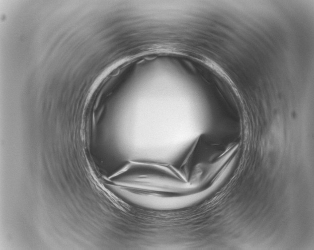 X0000054471339200508270120