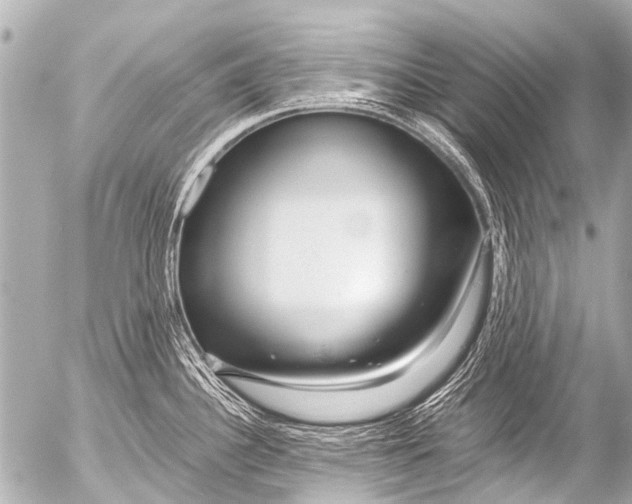 X0000054471340200508270120