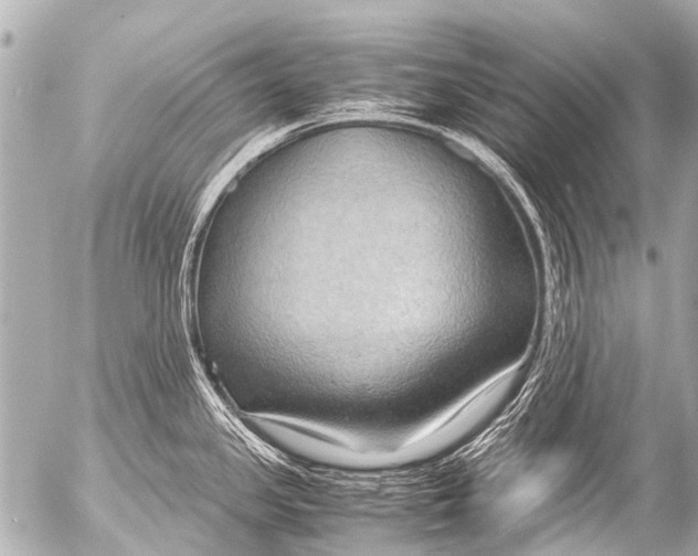 X0000054471341200508270120