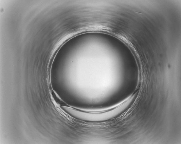 X0000054471342200508270120