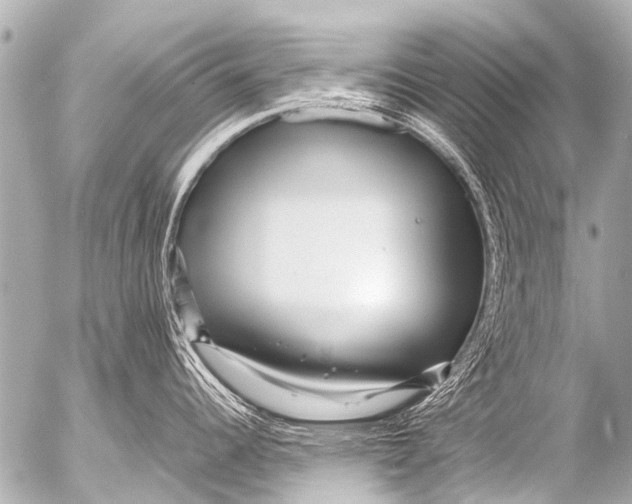 X0000054471344200508270120