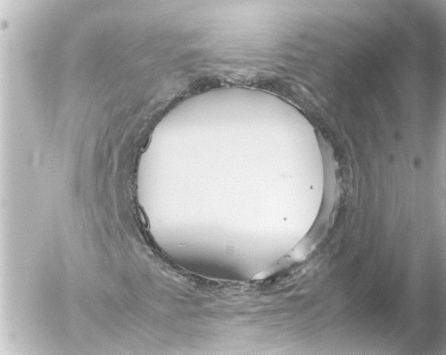 X0000054471345200508270119