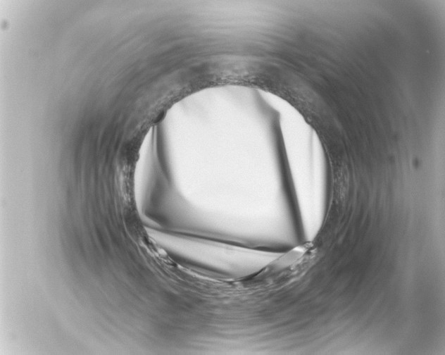 X0000054471346200508270119