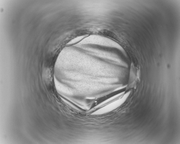 X0000054471347200508270119