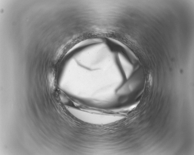 X0000054471348200508270119