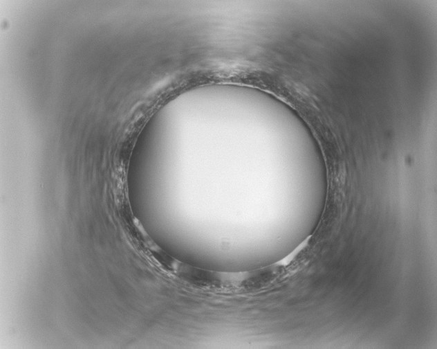 X0000054471349200508270119