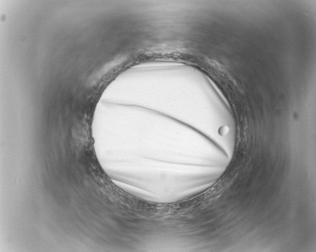 X0000054471350200508270119