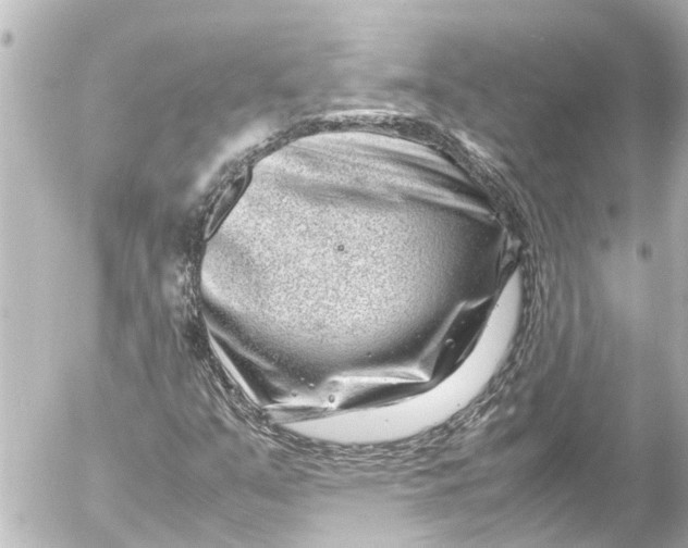 X0000054471351200508270119