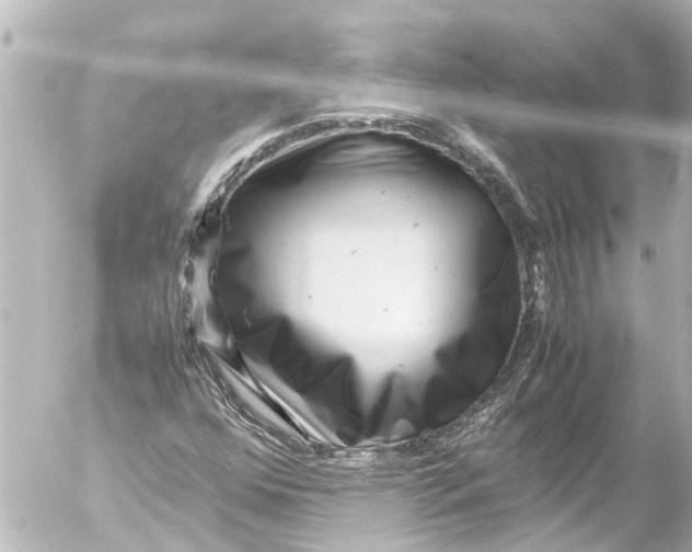 X0000054471352200508270119