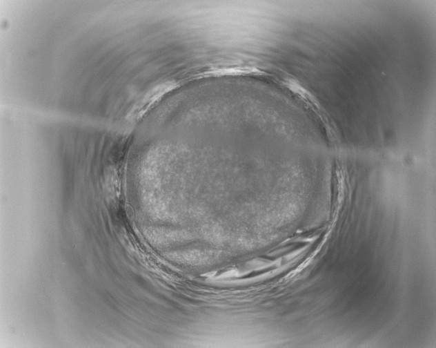 X0000054471353200508270119