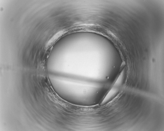 X0000054471354200508270119