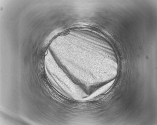 X0000054471355200508270119