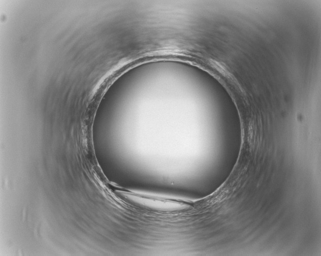 X0000054471356200508270119