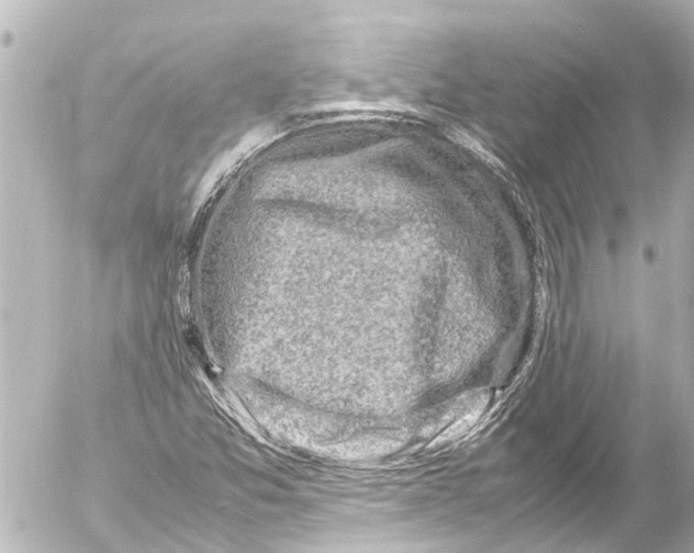 X0000054471357200508270119